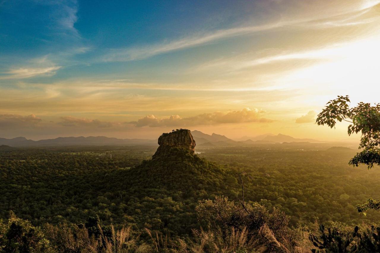 Sigiri Lion Lodge Sigiriya Exteriér fotografie